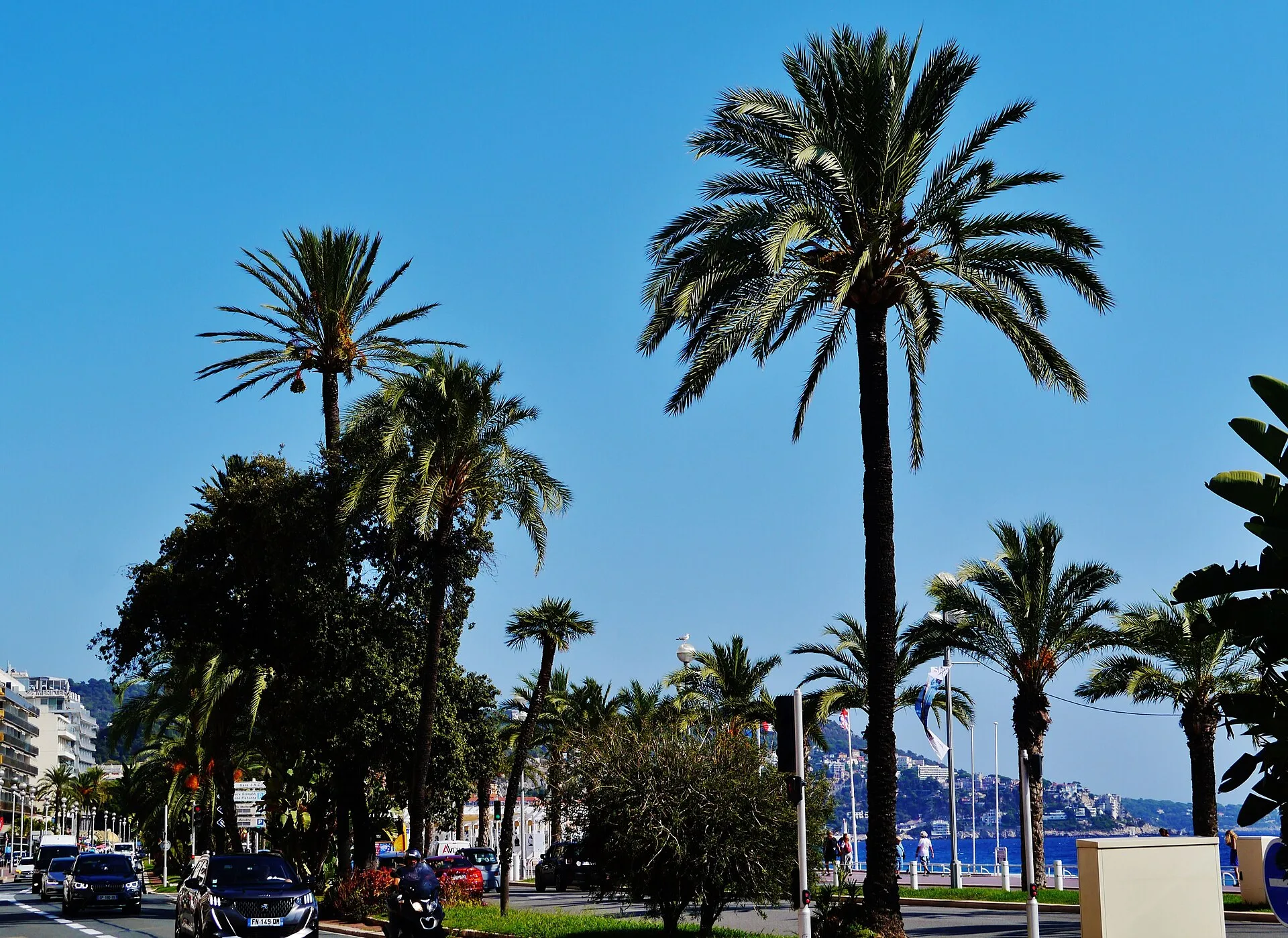 ️ Les villes principales : laquelle choisir ?